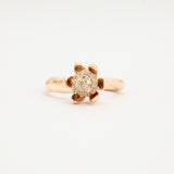 Anothers Legacy-kopi