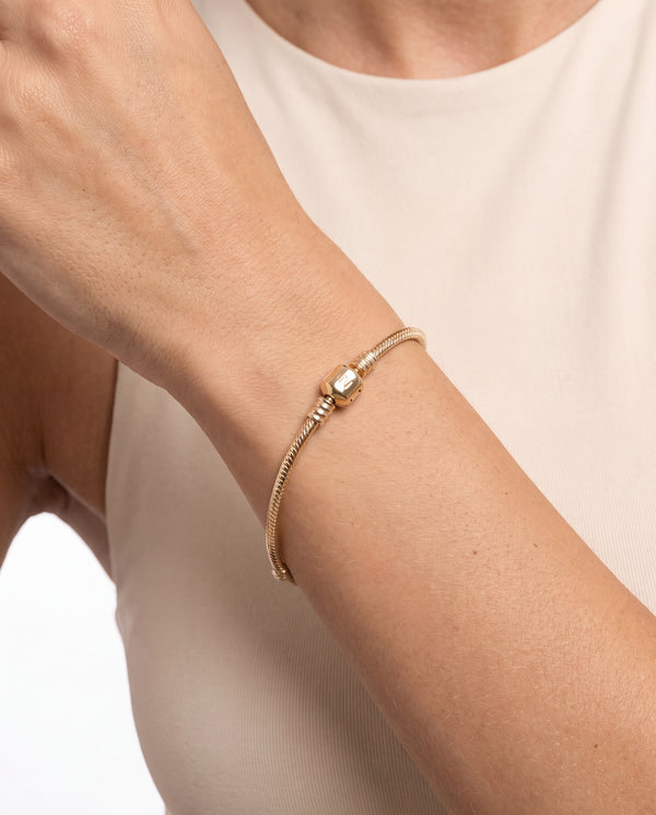 Pandora Moments armbånd i 14K guld og sølv, 19 cm
