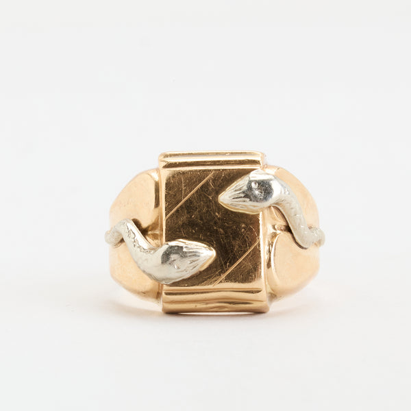 Slange Signetring i 18K guld, str. 63