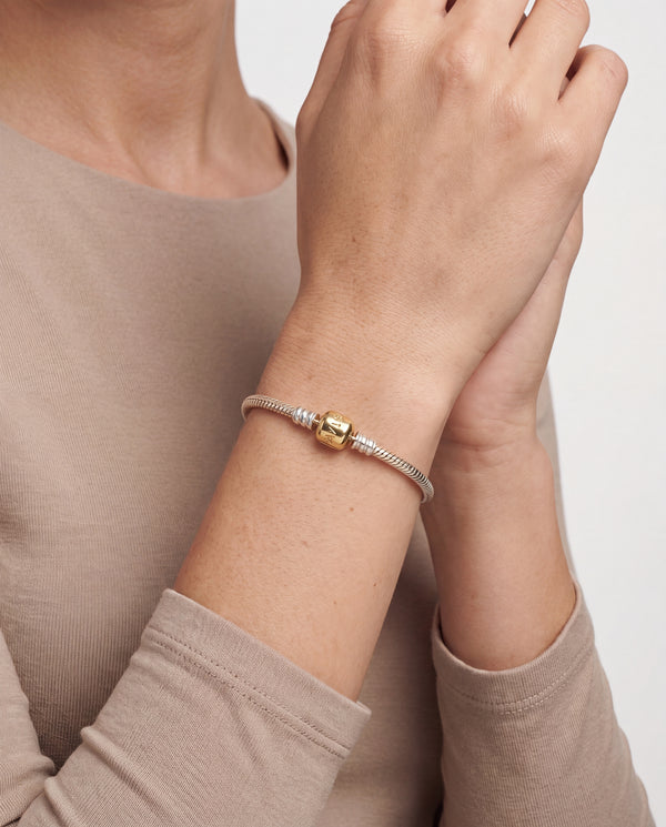 Pandora Moments armbånd i 14K guld og sølv, 19 cm
