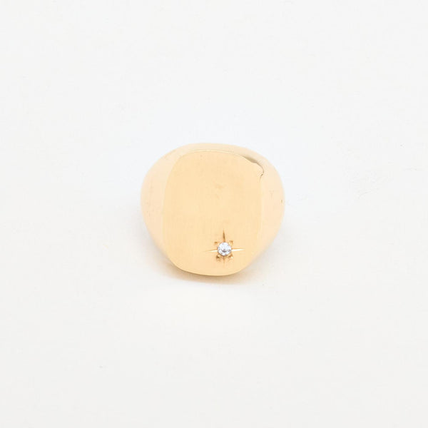 Matteret Signetring i 14K guld med en zirkonia, Str. 62