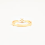 Anothers Legacy 2