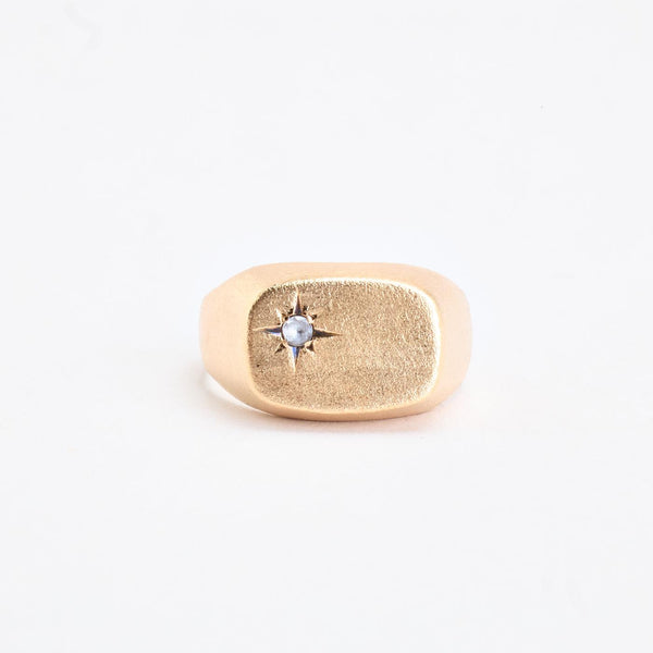 Matteret signetring i 14K guld med zirkonia, str 58