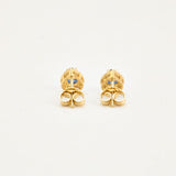 Anothers Legacy 1