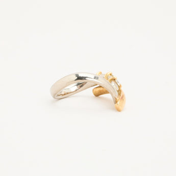 Anothers Legacy 1